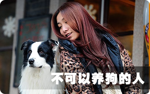■□不可以养狗的人□■
