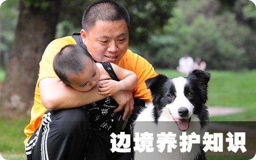 边境养护知识