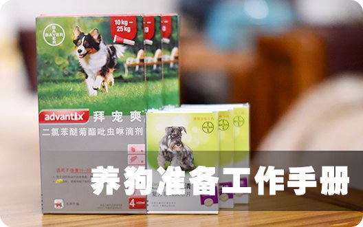 养狗准备工作手册