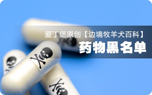 ■□边境牧羊犬百科——药物黑名单□■