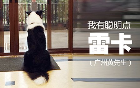 我有聪明点——雷卡（广州黄先生）