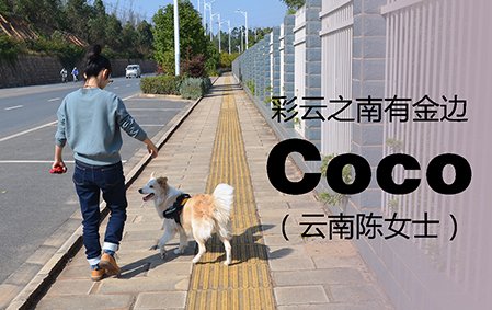 彩云之南有金边——Coco（云南陈女士）
