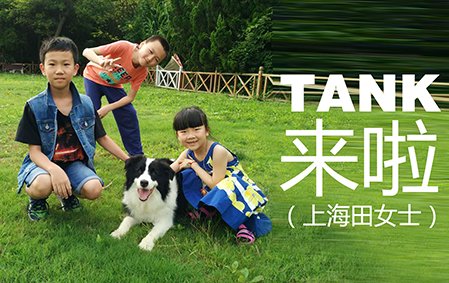 TANK来啦（上海田女士）