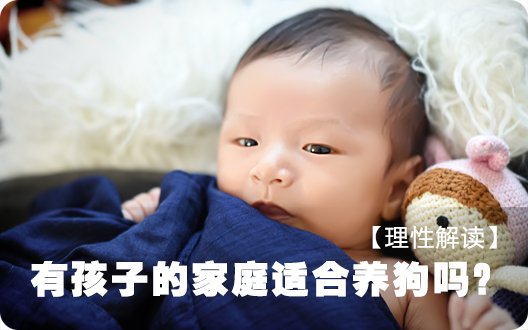 【理性解读】有孩子的家庭适合养狗狗吗？
