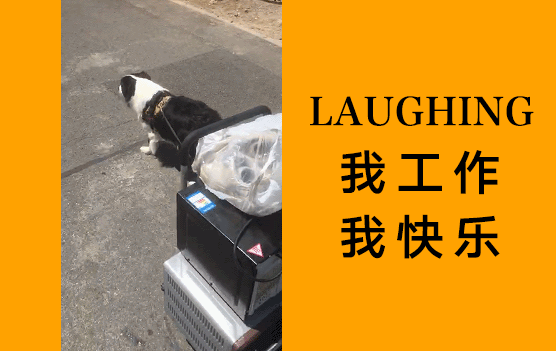 Laughing：我来拉货（北京李女士）2017/5/21