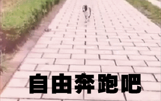 Lisa成长记（青岛李女士）2017/7/8