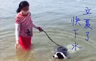 立夏了，快下水游泳啦！（深圳李先生）2017/5/6
