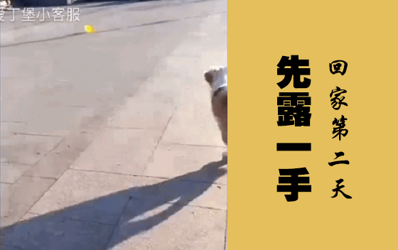 到家第二天露一手（青岛殷女士）2017/1/24