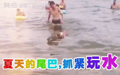 抓住夏天的尾巴再玩玩水（沈阳李女士）2016/8/23