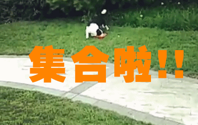 集合啦！！（北京李女士）2016/7/28