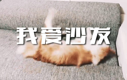 LUCKY爱沙发（深圳任小姐）2017/10/16