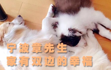 家有双边的幸福（宁波章先生）