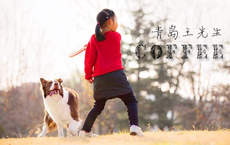 一只叫COFFEE的巧克力边（青岛王先生）