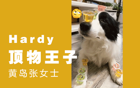 Hardy：顶物王子（黄岛张女士）2017/12/17