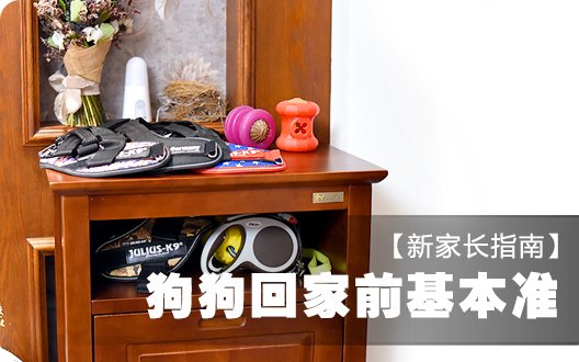 【新家长指南】狗狗回家前基本准备