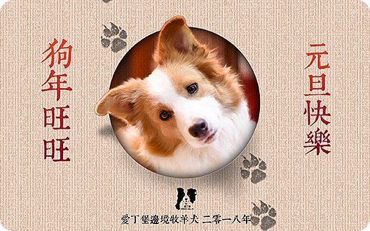 【你好2018】元旦快乐！狗年旺旺！爱丁堡2017年度总结~