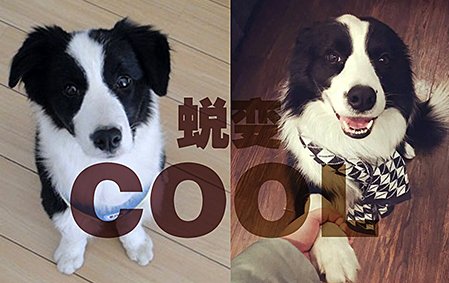 尴尬期与蜕变——COOL（襄樊张女士）