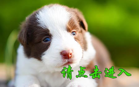 感谢南京朱女士已结缘 金宝