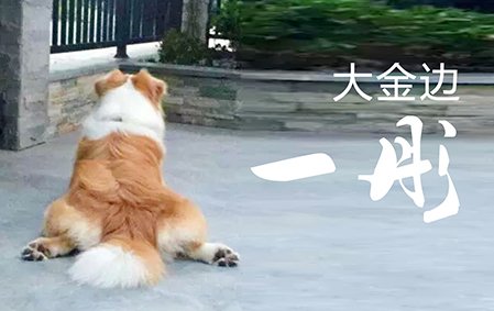大金边一彤（重庆廖女士）