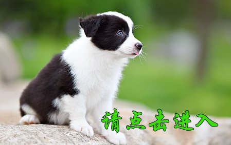感谢淄博高女士第二次选购 COFFEE 公A3
