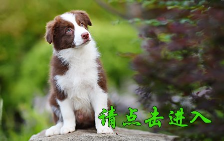 感谢江西罗先生已结缘 馒头