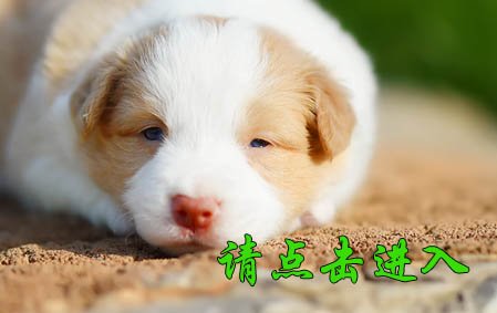 感谢浙江宁波李先生个性定制 亮亮