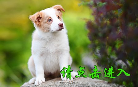 感谢浙江宁波李先生个性定制 亮亮