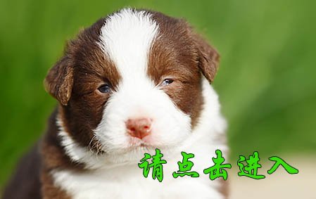 感谢江西罗先生已结缘 馒头