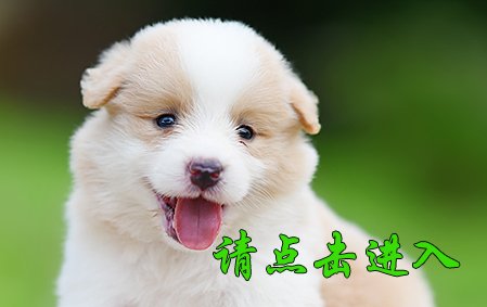 感谢杭州赵先生已选定 静静