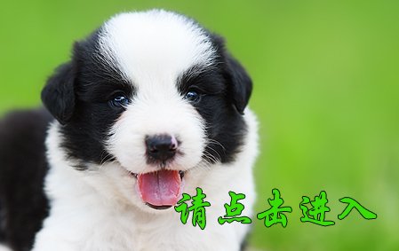 感谢温州池先生已结缘 雪碧