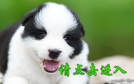 感谢湖北吴先生已结缘 点点