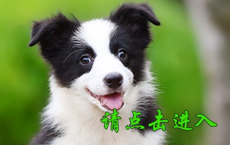 感谢湖北吴先生已结缘 点点