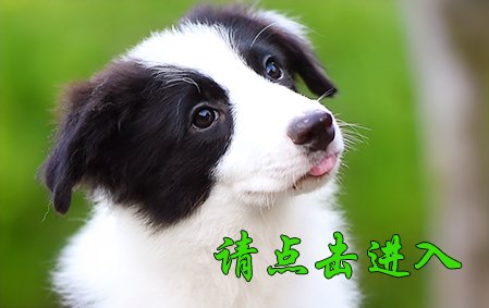 感谢湖南长沙左先生已结缘 安吉拉 公A1