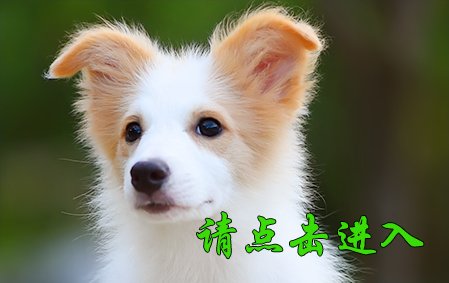 感谢上海刘女士已选定 Merry/小可