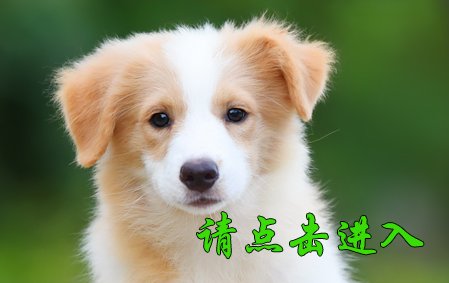 感谢杭州赵先生已选定 静静