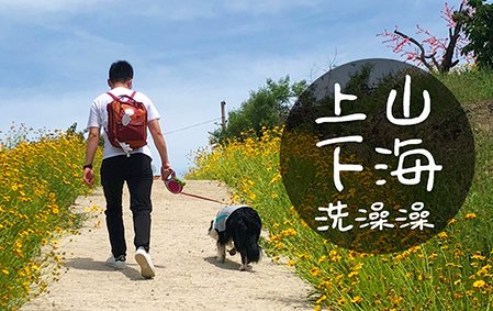 上山、下海、洗澡澡（烟台蒲女士奥莉）