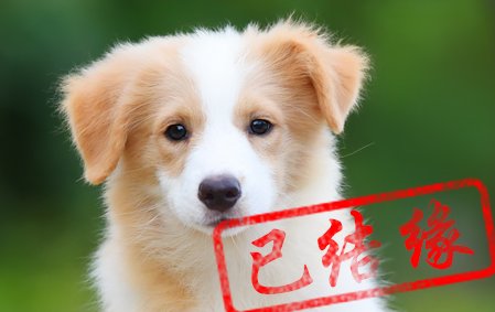 感谢杭州赵先生已选定 静静