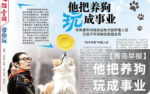 【青岛早报】他把养狗玩成事业~（爱丁堡唐先生第八次上报纸）