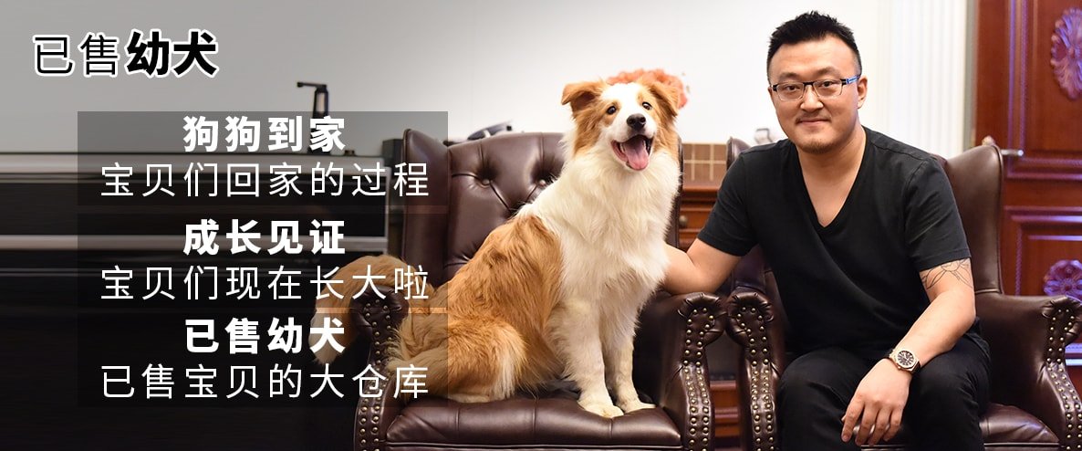 4已售