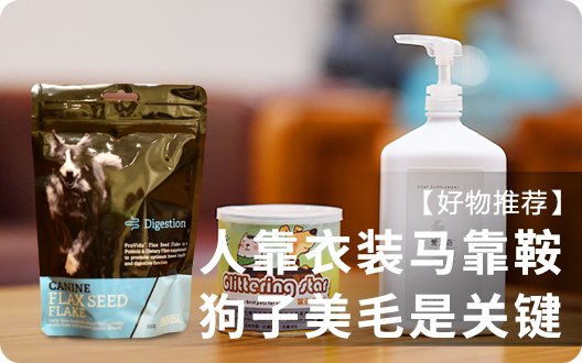 【好物推荐】人靠衣装马靠鞍，狗子美毛是关键