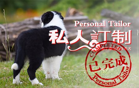 感谢河北唐女士个性定制
