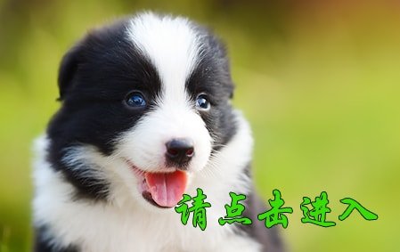 感谢杭州齐女士已结缘 米迦勒