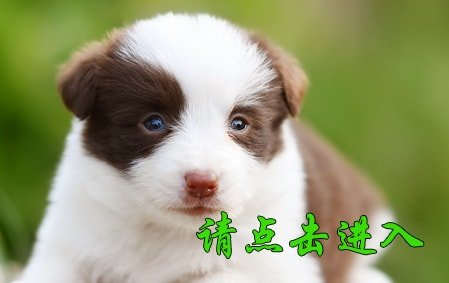 感谢烟台赵先生已结缘 花花