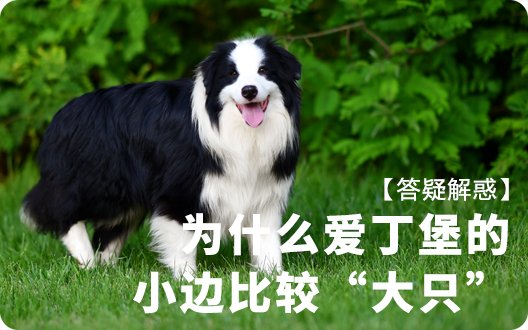 【答疑解惑】为什么爱丁堡的小边比较“大只”