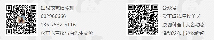手机版二维码