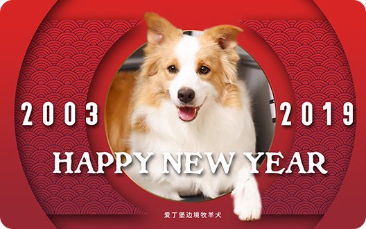 【我们16岁了】爱丁堡2018年度总结