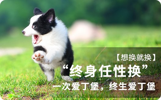 【想换就换】一次爱丁堡，终生爱丁堡——“终生任性换”