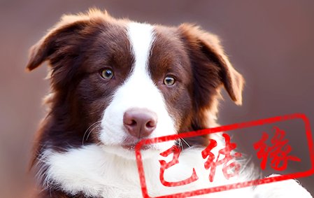 感谢江西罗先生已结缘 馒头
