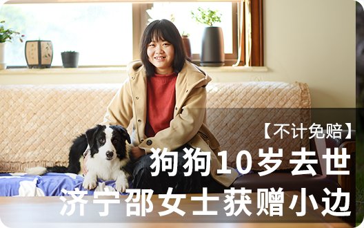 【不计免赔】狗狗10岁去世，济宁邵女士获赠小边
