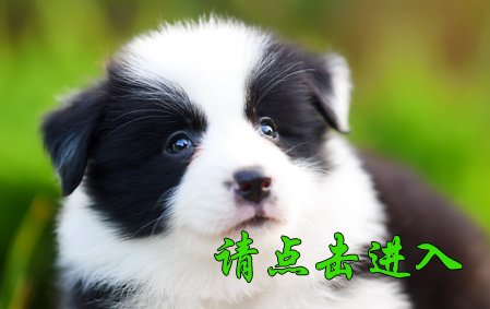 沫沫
